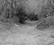 Couverture du document « Voie romaine Plougrescant-Carhaix. Parcellaire possible entre Plougonver et Carhaix. » — archives ARSSAT