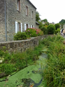 Maison en pierre du quartier du Stanco à Lannion, avec hortensias roses et ruisseau bordé de végétation aquatique, Côtes-d'Armor, Bretagne