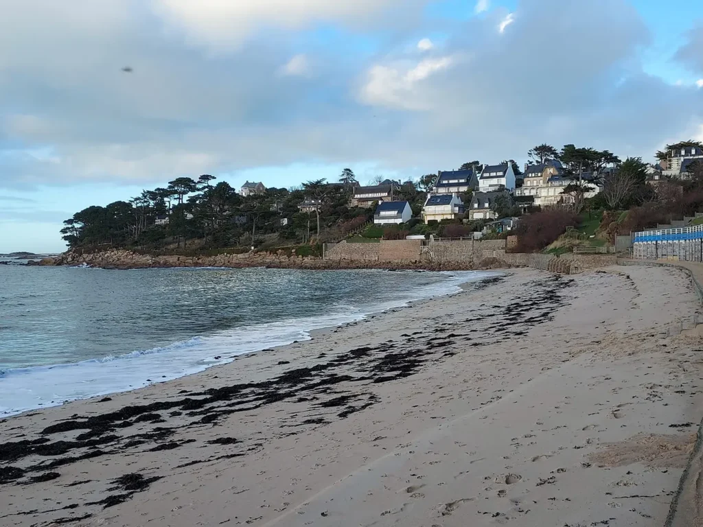 Plage de sable de Pors Termen à Trébeurden avec algues échouées et villas bretonnes sur le coteau boisé, Côtes-d'Armor, Bretagne